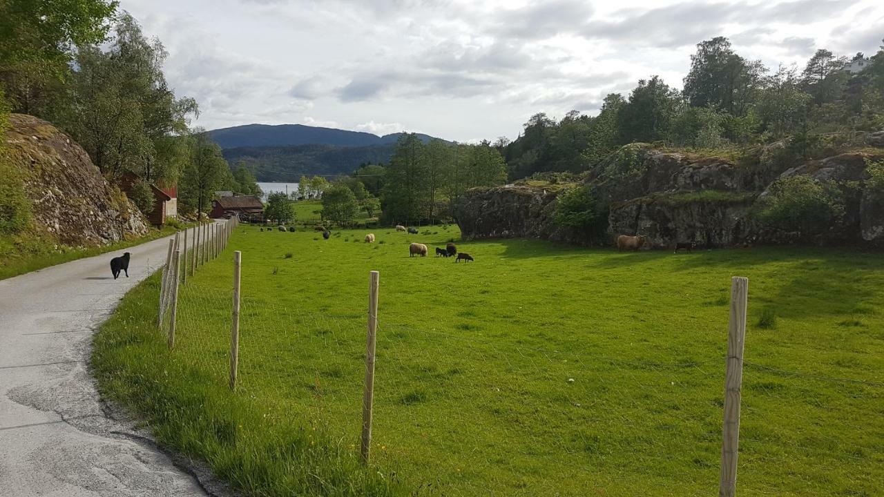 Molvik Hytten Villa Ostereidet Exterior foto