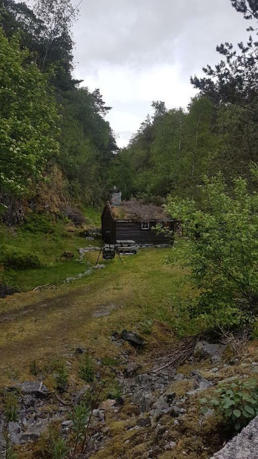 Molvik Hytten Villa Ostereidet Exterior foto